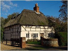 The Beauty of Thatch