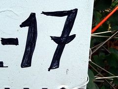 17 the number