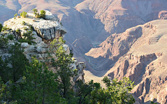 Grand Canyon (National Park)