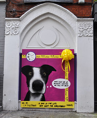 Dogs Trust 'A Dog is For Life' 2014
