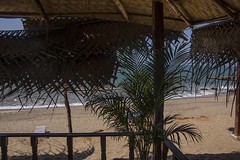 Cola Beach, India