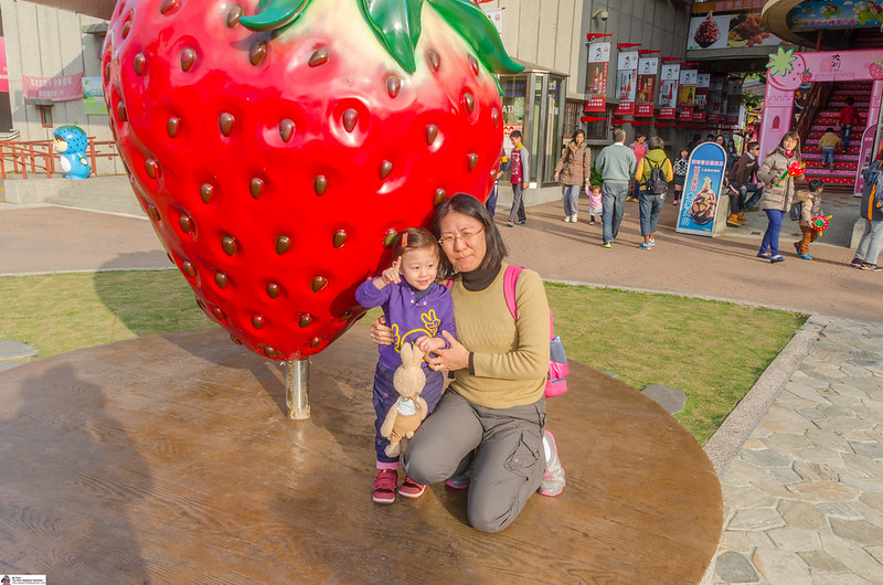 Taiwan Strawberry Festival