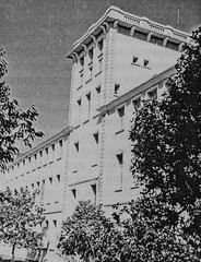 1937 Torre