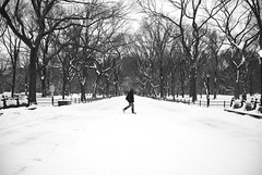 Central Park Winter Folio 2015