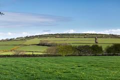 Exmoor-fields