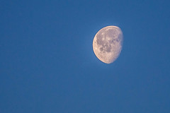 Moon / Lune