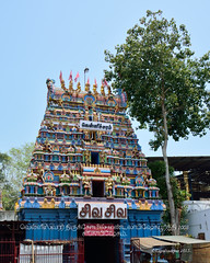 Velleeswarar Temple - Mandala Abishekam
