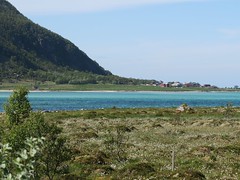 Norvège "iles Lofoten"