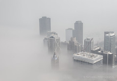 Fog in Chicago