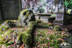 Cemetery of the Skull, Belgium