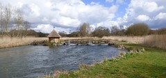 River Test, Houghton Lodge & Gardens