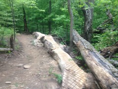 Log Ride 