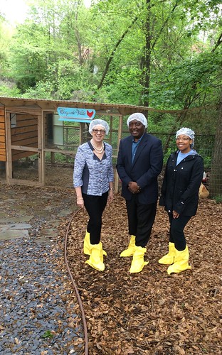 USDA Chief Scientist Dr. Catherine Woteki, Dr. Fidelis (Fidel) Hegngi, with the APHIS National Exotic Newcastle Disease (END) Program, and Dr. Denise Brinson Director of APHIS National Poultry Improvement Plan