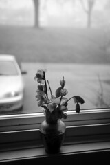 The Flower, The Vase, and The Window