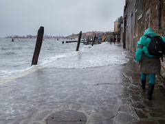 aqua alta Venise