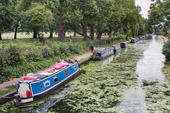 RPS walks the Canal - 30 July 2016