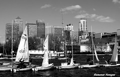 Sailing in Docklands..April 2015-Docklands-London