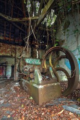 Urban Decay and Ruins