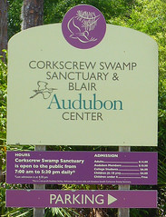 Corkscrew Swamp Sanctuary, FL
