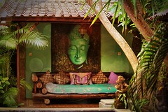 Kebun Damai , Bali 2014