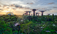 Singapore - Gardens by the bay