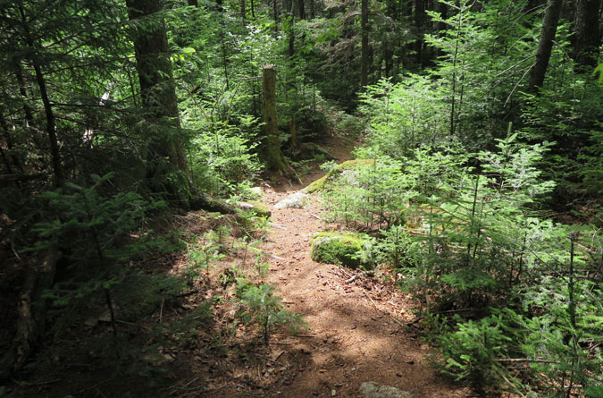 Wonalancet Range Trail