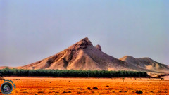 Views of the AL AIN مناظر من العين