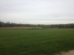 Allatoona Creek Fields 