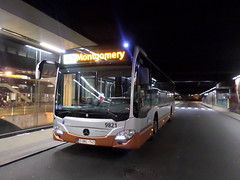 STIB-Bus-61