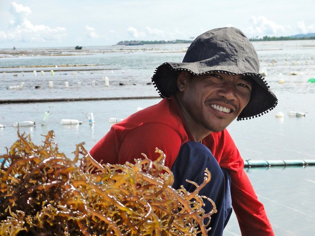 seaweed farmer in Zamboanga