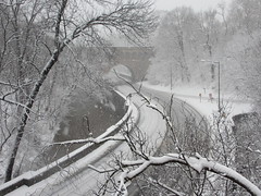 Snow in Washington, D.C.