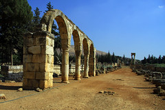 Ruins of the Umayyad city of Anjar