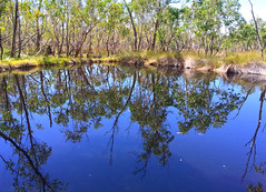 The Dell Conservation Reserve