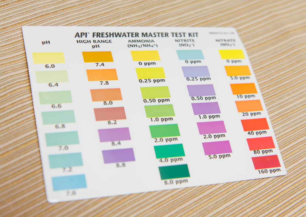 Api 5 In 1 Test Strips Color Chart