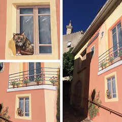Cat in the window, or not? #trompeloeil #cat #nofilter #streetart