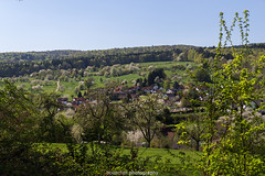 Waldhilsbach