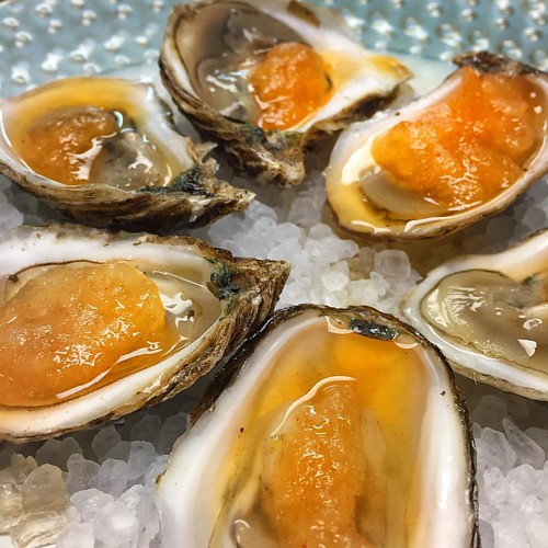 Happy oyster day! In honor of this day we are running Beau Soleil oysters on the half shell with orange-sriracha granite #nationaloysterday #beausoleiloysters #oysters #georgiaseagrill #instafood #instayum