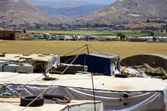 Informal Tented Settlements