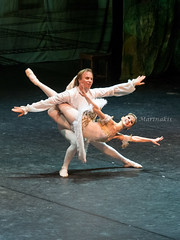 Sleeping Beauty  - Royal Moscow Ballet