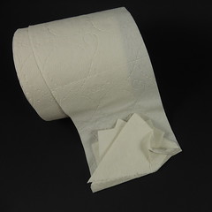 Toilet paper folding