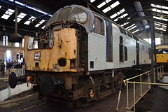 The Baby Deltic Project