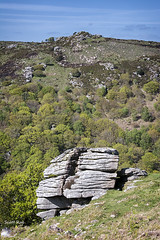 Dartmoor Course