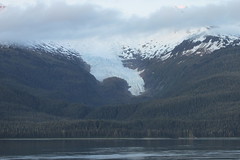 Endicott Arm Fjord - 2016