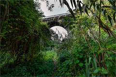 Puente Molino