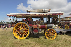 Weeting Steam Engine Rally 2016