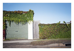 Garage Topiary
