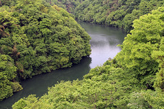 2015.May green lakes & forests 緑の湖・森