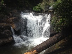 Dukes Creek Falls 