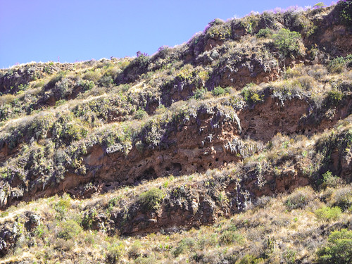 Pisac: des tombes incas