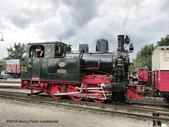 Rheingoldzug und Museumsbahn Bruchhausen-Vilsen, 30. Juli 2016